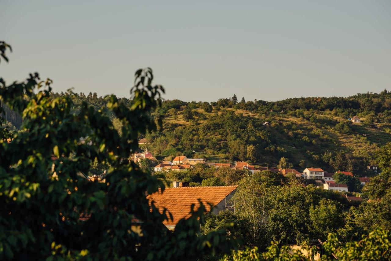 Apartman Pod Borovici Kovalovice Exterior photo